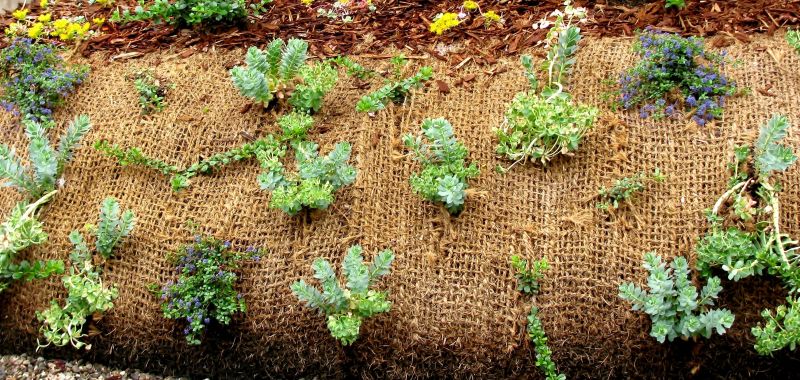 Erosion Control