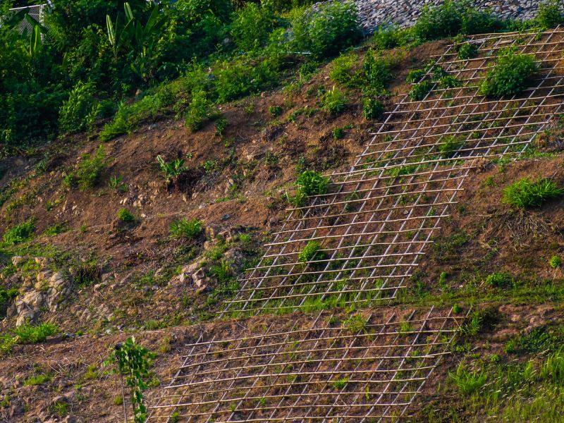 Erosion Control Nets